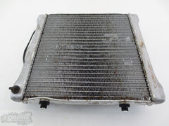 Engine Radiator Cooling 2002 Polaris Sportsman 500 4X4 389 x