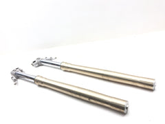 Front Forks Tubes Legs 2009 BMW F800GS 3131 x