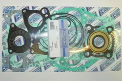 WSM Complete Engine Motor Gasket Kit for Polaris SL 900