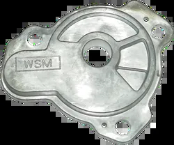 WSM Primary Oil Pump Cover Plate
