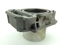 Engine Cylinder Jug Rear 2008 Can-Am Renegade 800 4x4 X HO EFI 1268