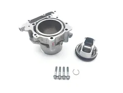 Engine Cylinder Jug W Piston Front Aprilia RST1000 Futura 2135