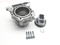 Engine Cylinder Jug W Piston Rear Aprilia RST1000 Futura 2135