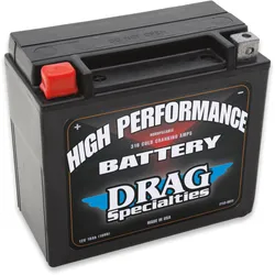 DS AGM Maintenance Free Battery YTX20-BS YTX20H-BS