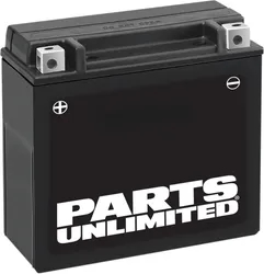Parts Unlimited AGM Maintenance Free Battery YTX20H-BS