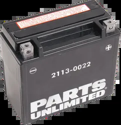 Parts Unlimited AGM Maintenance Free Battery YTX20HL-BS