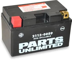 PU AGM Maintenance Free Battery YTZ10S