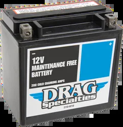 DS AGM Maintenance Free Battery YTX14L-BS