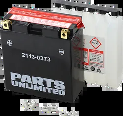 Parts Unlimited AGM Maintenance Free Battery YT14B-BS