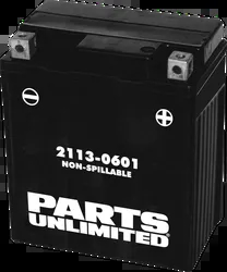 PU AGM Maintenance Free Battery YTZ8V