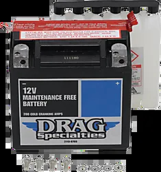 DS AGM Maintenance Free Battery YTX14L-BSFT