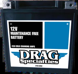 DS AGM Maintenance Free Battery YIX30L-BSFT