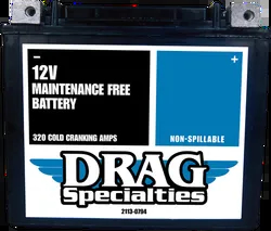 DS AGM Maintenance Free Battery YTX20HL FT