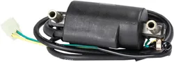 Rick's Electric Ignition Coil