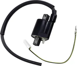 Rick's Electric Ignition Coil