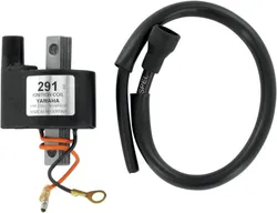 Rick's Electric Ignition Coil