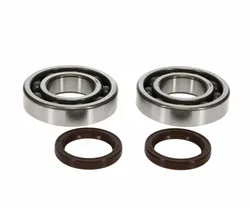 ProX Crankshaft Bearing and Seal Kit