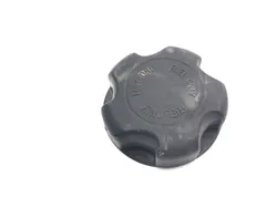 Gas Fuel Tank Cap 2009 Polaris RZR 800 EFI 2548