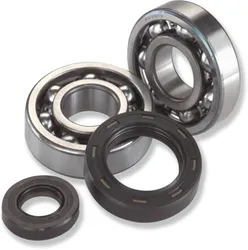 All Balls Crankshaft Bearing Kit GAS GAS EC200-300 MC250 SM250