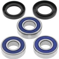 All Balls Rear Wheel Bearing Kit for Honda Street Motorcycle 600-900