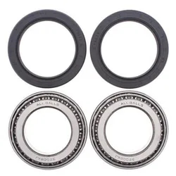 All Balls Rear Wheel Bearings Kit for Can-Am DS650