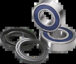 Moose Rear Wheel Axle Bearing Kit