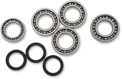 Moose Front Differential Bearing Kit