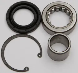 All Balls Inner Primary Bearing and Seal Kit for