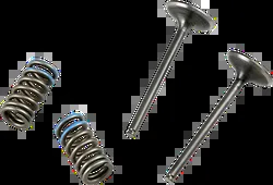 ProX Steel Intake Valve and Spring Kit for Honda CRF250R