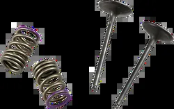 ProX Steel Intake Valve and Spring Kit