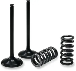 ProX Steel Intake Valve and Spring Kit for Kawasaki KX450F