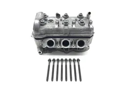 Engine Cylinder Head Complete W Valves 2019 Can-Am Ryker 900 Rally Edition 3117
