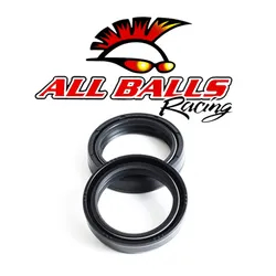 All Balls Fork Dust Seal Kit