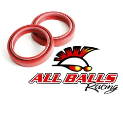 All Balls Fork Dust Seal Kit