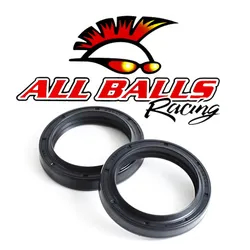 All Balls Fork Dust Seal Kit