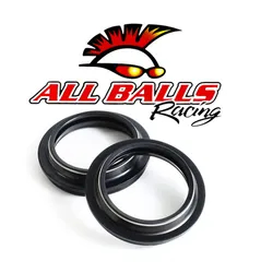 All Balls Fork Dust Seal Kit