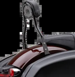 Cobra 14in Black Steel Round Detachable Backrest Kit