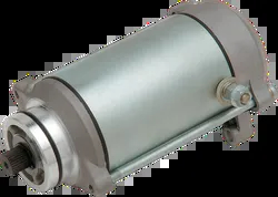 Rick's Electric Starter Motor