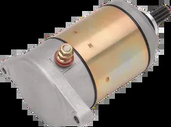 Rick's Electric Starter Motor