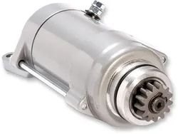 Rick's Electric Starter Motor