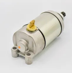 Rick's Electric Starter Motor