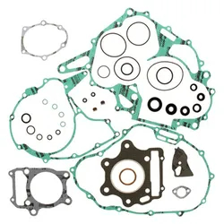 Vertex Complete Engine Rebuild Gasket Kit with Oil Seals