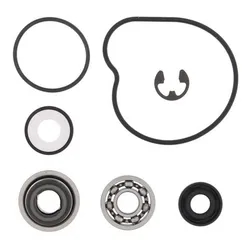 Vertex Water Pump Rebuild Kit