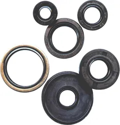 Vertex Oil Seal Kit