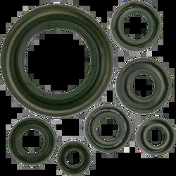 Moose Engine Oil Seal Kit