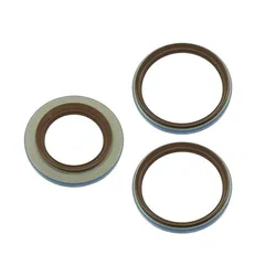 Bronco Rear Differential Seal Kit