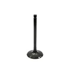 Bronco Steel Intake Valve