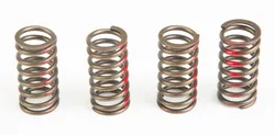 Pro Circuit High Performance Clutch Spring Set