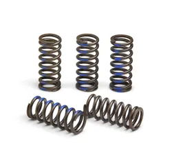 Pro Circuit High Performance Clutch Spring Set