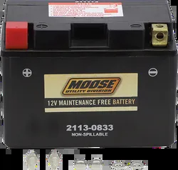 MU Factory Activated AGM Maintenance Free Battery YTZ14S